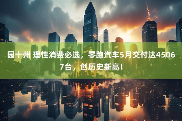 园十州 理性消费必选，零跑汽车5月交付达45067台，创历史新高！