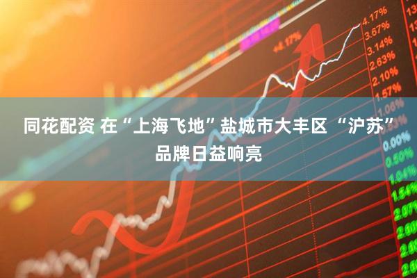 同花配资 在“上海飞地”盐城市大丰区 “沪苏”品牌日益响亮