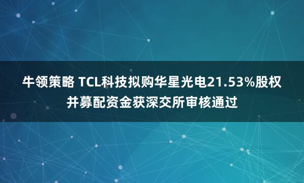 牛领策略 TCL科技拟购华星光电21.53%股权并募配资金获深交所审核通过