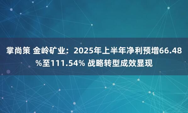 掌尚策 金岭矿业：2025年上半年净利预增66.48%至111.54% 战略转型成效显现