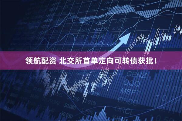 领航配资 北交所首单定向可转债获批！