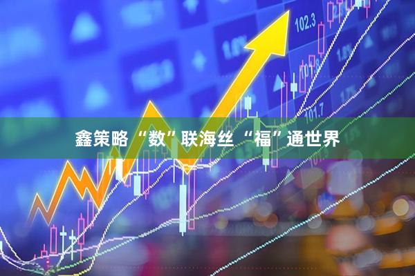 鑫策略 “数”联海丝 “福”通世界