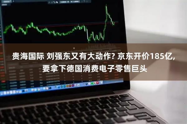 贵海国际 刘强东又有大动作? 京东开价185亿, 要拿下德国消费电子零售巨头