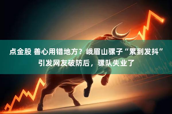 点金股 善心用错地方？峨眉山骡子“累到发抖”引发网友破防后，骡队失业了